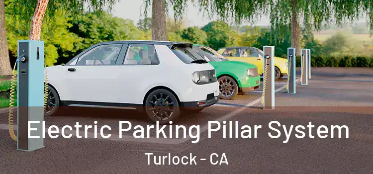  Electric Parking Pillar System Turlock - CA