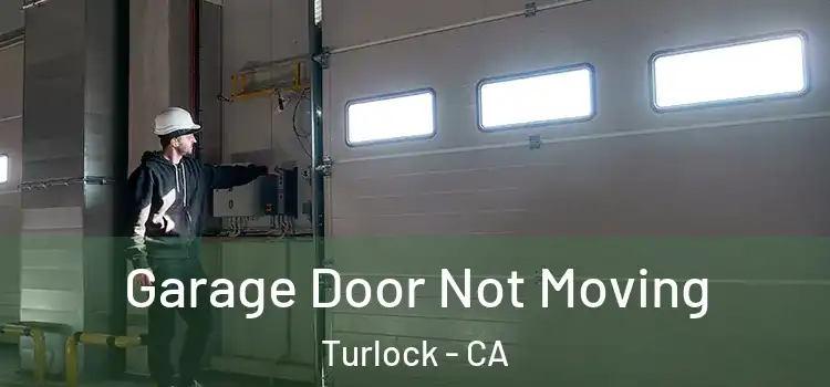  Garage Door Not Moving Turlock - CA