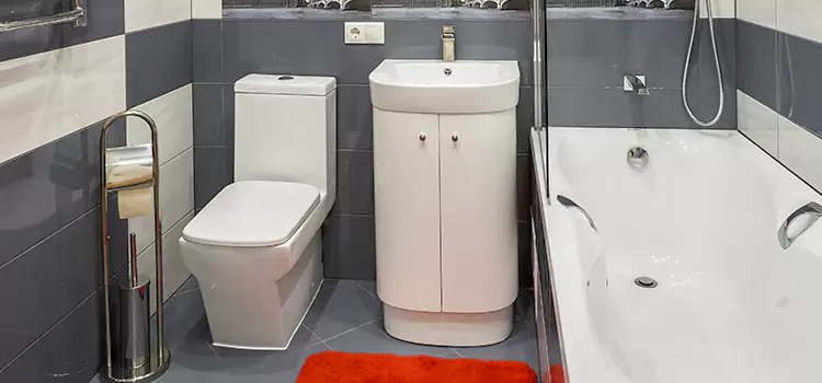 Hansgrohe Shaving Mirror Turlock