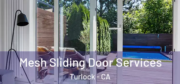 Mesh Sliding Door Services Turlock - CA